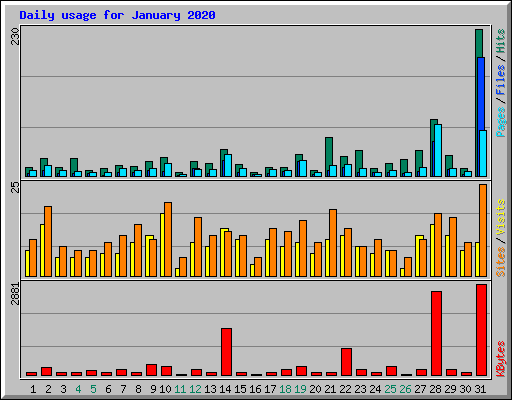 Daily usage for January 2020