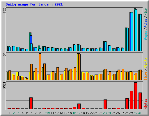 Daily usage for January 2021