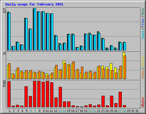 Daily usage for February 2021