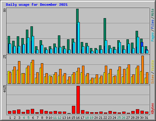 Daily usage for December 2021