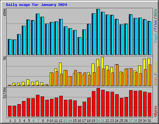 Daily usage for January 2024