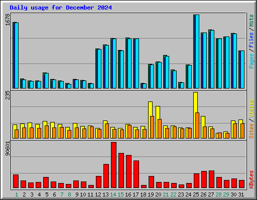 Daily usage for December 2024