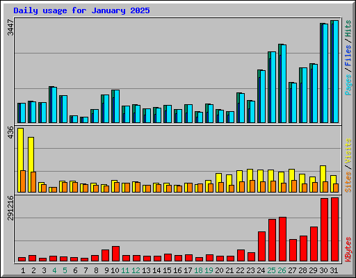 Daily usage for January 2025