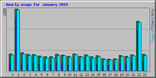 Hourly usage for January 2019