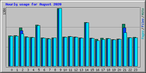 Hourly usage for August 2020