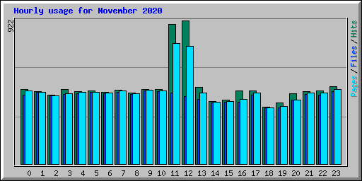 Hourly usage for November 2020