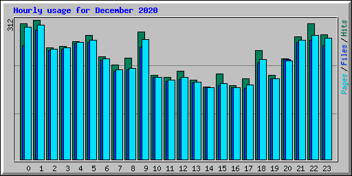 Hourly usage for December 2020