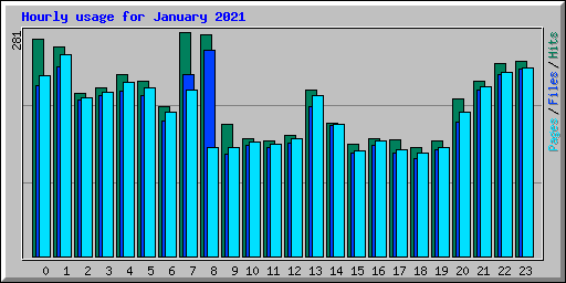 Hourly usage for January 2021