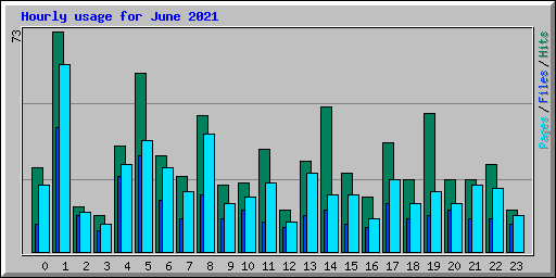 Hourly usage for June 2021