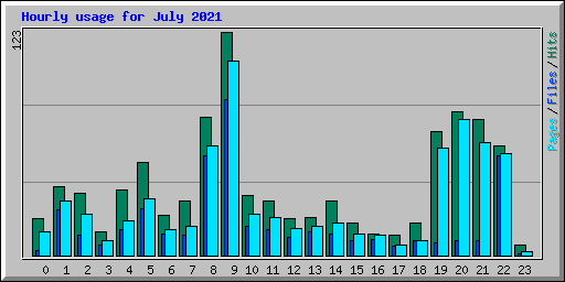 Hourly usage for July 2021