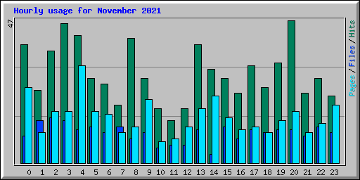 Hourly usage for November 2021