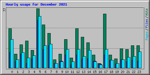 Hourly usage for December 2021