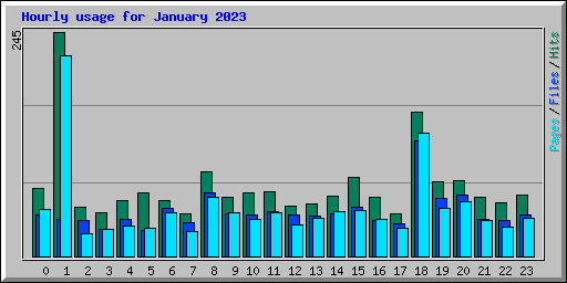 Hourly usage for January 2023