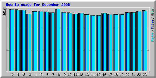 Hourly usage for December 2023