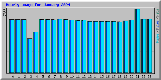 Hourly usage for January 2024