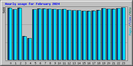 Hourly usage for February 2024