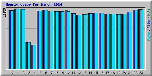 Hourly usage for March 2024