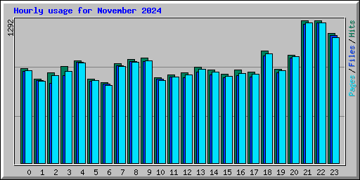Hourly usage for November 2024