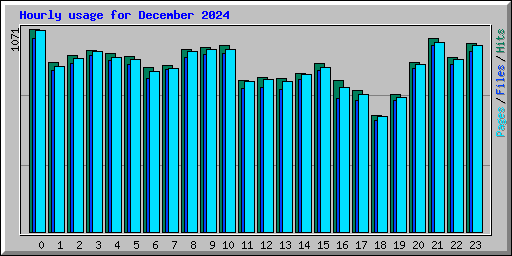 Hourly usage for December 2024