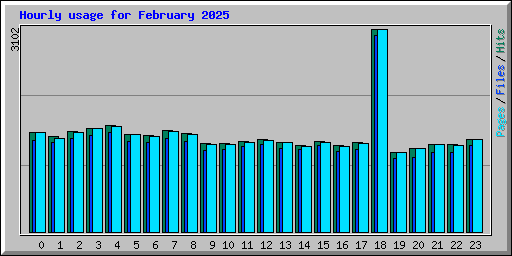 Hourly usage for February 2025