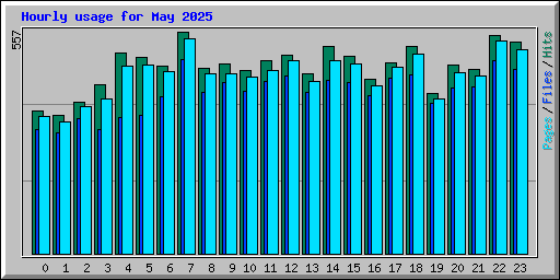 Hourly usage for May 2025
