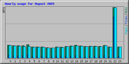 Hourly usage for August 2025