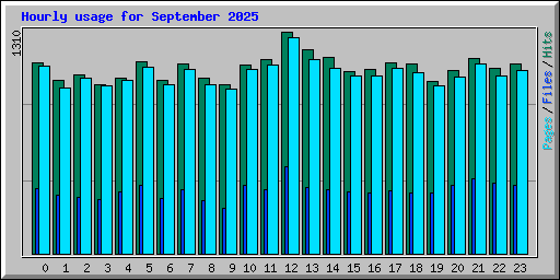 Hourly usage for September 2025