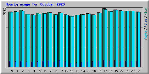 Hourly usage for October 2025