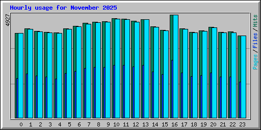 Hourly usage for November 2025