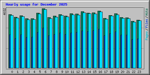 Hourly usage for December 2025
